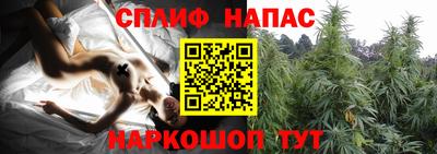 мдма Тверь