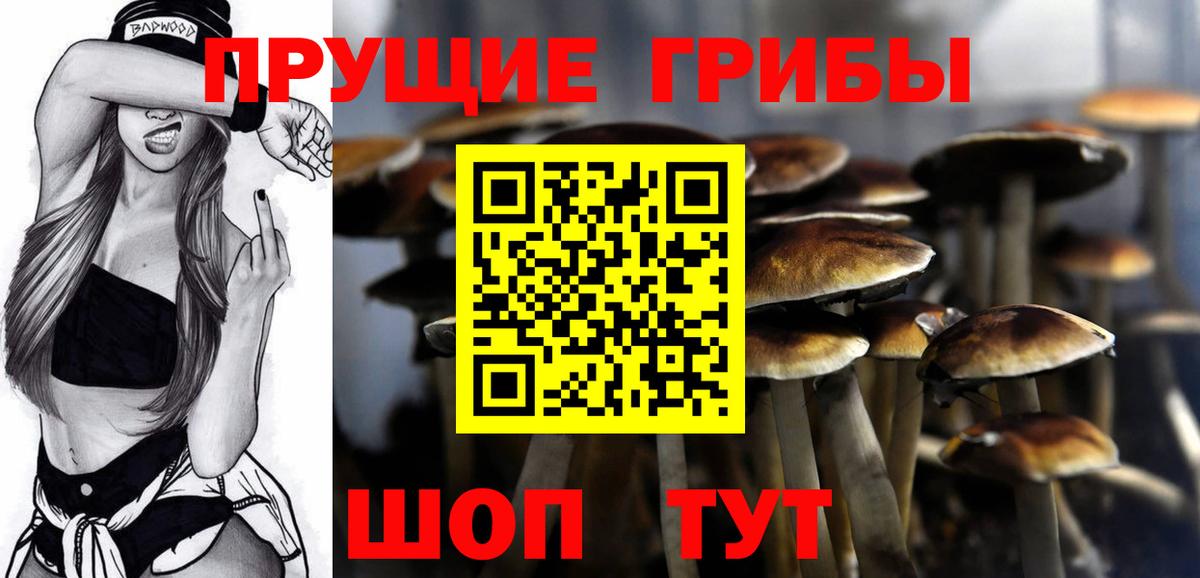 Галлюциногенные грибы Magic Shrooms Орёл
